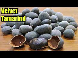 Image result for Dialium