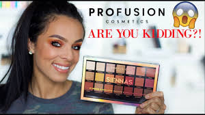 PROFUSION SIENNAS REVIEW