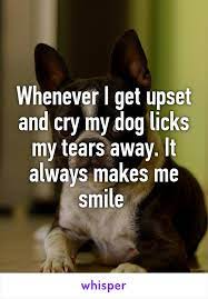 Whenever I Get Upset And Cry My Dog Licks My Tears Away It Always Makes Me