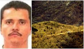 Choose from a selection of hotels in talpa de allende. Cartel De Jalisco Nueva Generacion El Mencho Se Pasea En Talpa