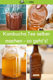 Kombucha Selber Machen Der Kombucha Guide Inkl Anleitung Ecoyou Kombucha Kombucha Tee Kombucha Rezept