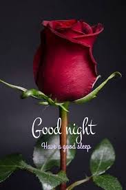 Good Take Take Take I You I You Take I You My Dearest Ranji Let Me You Re T Good Night Image Romantic Good Night Good Night Flowers