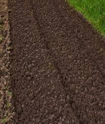 Once you have selected a grass seed that will grow in your area, a source of high quality seed should be found. Fast Growing Grass Seed Bulk Uk Supplier Gss Direct Ltd