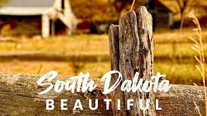 Image result for Yellow 1990 South Dakota State of