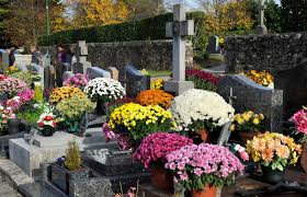 Kassandra met a dying old man who wanted to do one last thing before he departed. Flowers That Represent Death In Different Cultures Lovetoknow