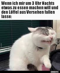 Wenn Ich Mir Um 3 Uhr Nachts Etwas Zu Essen Machen Will Und Katzenhumor Lustig Lustige Tiervideos