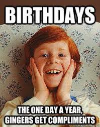 Birthday Memes Funny Happy Birthday Meme Funny Birthday Meme Happy Birthday Ginger