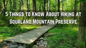 We did not find results for: 5 Things To Know Before Hiking Sourland Mountain Preserve