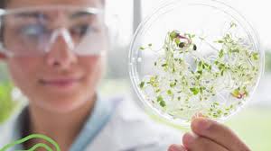 #ista #seedtesting #seedtest #seedquality