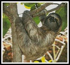 This is for the mandala sloth 656 design. Three Toed Sloth Cross Stitch Pattern