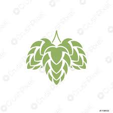 Vector gratis de cebada cebada gratis vector arte vector de lúpulo cerveza gratis vector estático público europeo libre unión. Lupulo Vector De Stock Crushpixel