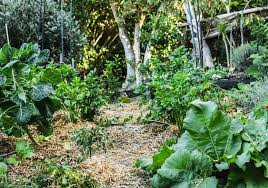 This guide shows you the tools and equipment you need to build one yourself. No Dig Garden The Easiest Way To Grow Food Home Grown Happiness