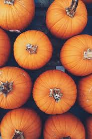 Pin By The Lifestyle Files On Fall Vibes Fall Wallpaper Pumpkin Wallpaper Fall Background