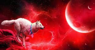 Blue Moon Wolf Wallpapers Blue Moon Wolf Wallpapers Wolf Wallpaper Blue Moon Three Wolf Moon