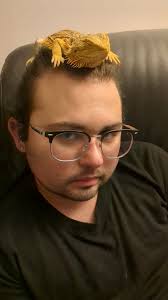 What is everyone's opinion (plus or negative)