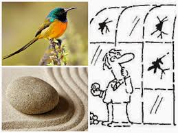 Birds Of A Feather Flock Together Meaning In Bengali Dynamic Thoughts 9 Proverbs That Need To Be Revisited