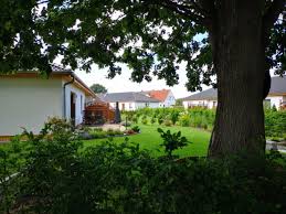 Das seebad am stettiner haff zwischen uecker und zarow ist ein urlaubsparadies für die ganze. 3 Zimmer Wohnung Zu Vermieten Oststrasse 70 75 17373 Ueckermunde Uecker Randow Kreis Mapio Net