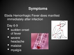 A milder strain of ebola has been discovered in monkeys and pigs in the philippines. Ebola Hemorrhagic Fever Ppt Download