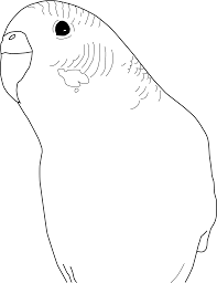 Parakeet Coloring Pages Bird Coloring Pages Coloring Pages For Kids Coloring Pages