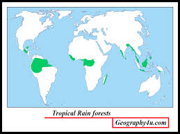 This is between the tropic of cancer and the tropic of capricorn. Tropical Rainforest Biome Plants And Animals Geography4u Com