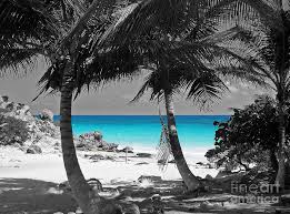 Black And White Beach Scene Wall Art Tulum Mexico Beach Color Splash Black And White Is A Piece Of Digital Artwork By Shawn O Brien W Color Splash Photo Color Splash Photography Splash Photography