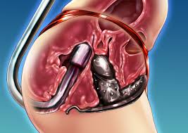 Pixiv Artist - Sannyuutei Shinta - Page 12 - HentaiEra