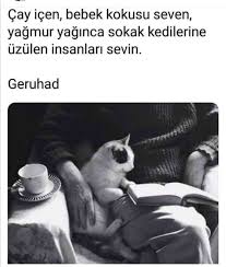 Sufficiency Adli Kullanicinin Hayata Dair Panosundaki Pin 2020 Kedi Yagmur