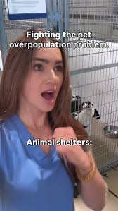 Let's talk about the link between backyard breeding and pet overpopulation.  Many people don't realize that choosing a puppy from an unregulated or  casual breeder, often marketing trendy mixes like doodles, can