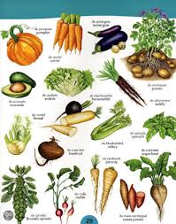 Groenten En Fruit Vegetables And Fruit Engel