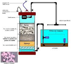 Filtros Caseros Para Acuario With Images Diy Aquarium Filter Aquarium Chiller Diy Aquarium