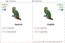 How to say parrot in spanish. Parrot In Spanish Writing And Pronunciation With Pictures
