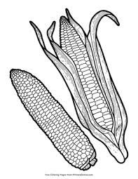 Children will be delighted if you download or print free corn coloring pages for them. Corn Coloring Page Free Printable Pdf From Primarygames
