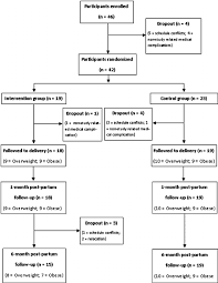 Participant Fl Ow Chart Overweight And Obese Pregnant Women