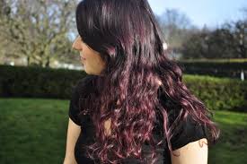 Je vous propose des ateliers de cuisine et de bricolage lors d'après midi conviviaux où tout talent peut. Bref J Ai Les Cheveux Violets Prune Reglisse Myrtilles