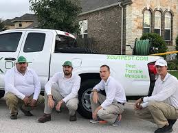 Top pest control services in dallas, tx. Pest Control Service San Antonio Texas