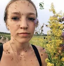 Mosquito Control Measures in Bridge City