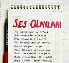 đefne adli kullanicinin ders notlarim panosundaki pin ders programlari ders calisma ipuclari ogrenme