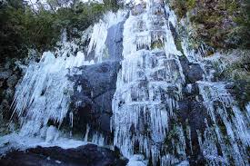 Masurarea rectala a temperaturii este o alternativa atunci cand masurarea orala este imposibila (la adulti, din. O Que Fazer Em Urupema Sc Viagens E Caminhos