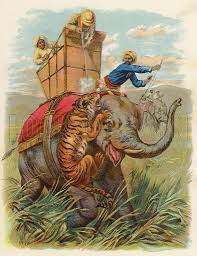 A tiger hund in India stock image ...