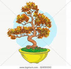 This year i was asked to design the poster. Bonsai In A Pot Japanese Art Mini Tree Color Illustration Bonsai Japanese Tree Vector Isolated On White Background Hand Drawing Poster Id 324050050