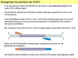 Using recombinant dna technology to modify an organism's dna to achieve desirable traits is called genetic engineering. Gene Cloning Tools Genetic Engineering Gene Cloning Allows