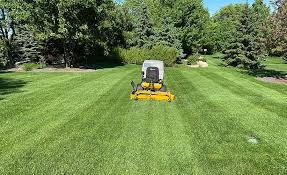 However, you can still realize your dream of owning a beautiful, and perfect lawn by hiring the best lawn care service near you. Emerald Companies Inc St Cloud Lawn Care St Cloud Mn 320 251 5296