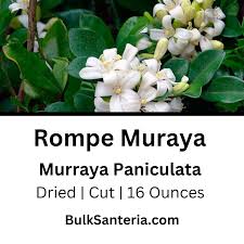 Image result for Murraya