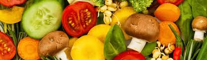 Bachelor Of Nutrition Science Bs Bachelor Programs Are Offered Online Via Distance Learning Permitting The Completion Of The Masters Degree Without Class Attendance Online Masters Degree Atlantic International University Bachelor Master Mba