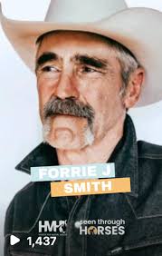 Celebrating Achievements of the 2024 Seen Through Horses Campaign!