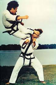 Dr He Young Kimm Performing Hapkido S Jump Double Side Kick An Advance Kick From The Hapkido Arsenal This Photo Was Hapkido Korean Martial Arts Martial Arts
