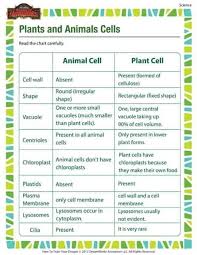 Check spelling or type a new query. Oyugi Com Biology Form 1 Animal Cell And Plant Cell Facebook