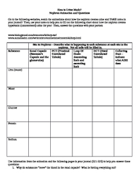 Urine Formation Animation With Chart And Questions