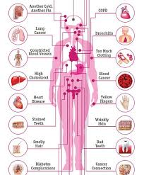 Pin On Health Wellness