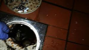 Image result for site:byggahus.se rensplugg